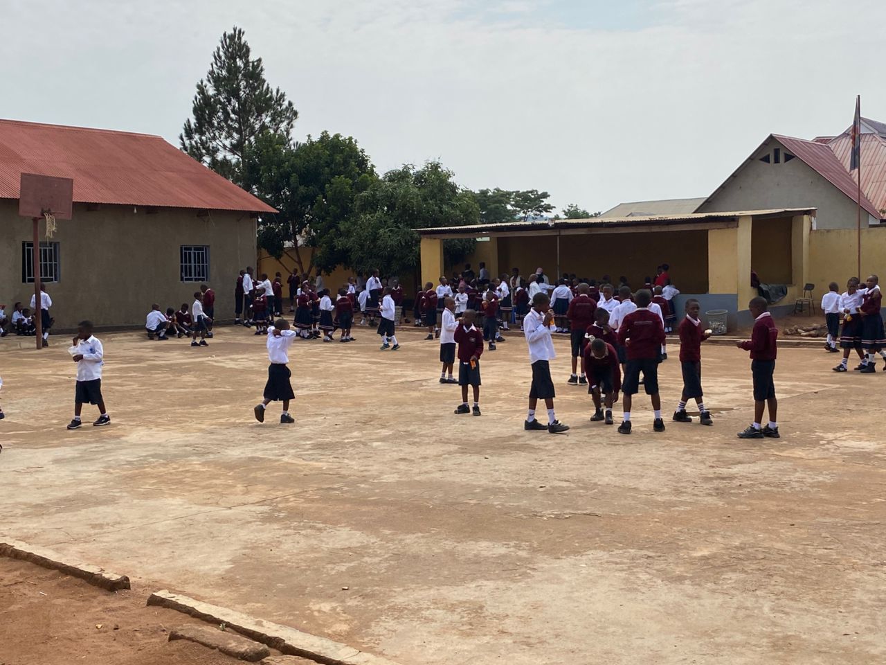 Éducation Secondaire